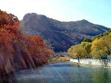 澳门二四六天天彩图库，康掌柜